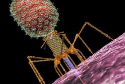Ученые нашли в теле человека новый вирус