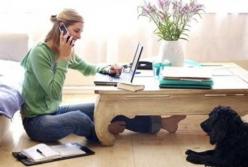 Закон о дистанционной работе принят в первом чтении