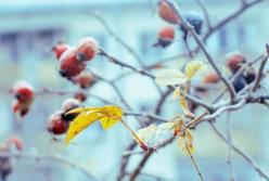 Синоптики дали прогноз погоды в Украине на завтра