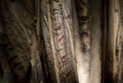 В Испании найдены рисунки неандертальцев, которым 60 тыс. лет