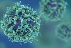 Эти продукты убивают раковые клетки