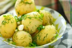 Медики назвали полезные свойства картофеля для здоровья