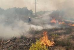 Возле Запорожской АЭС вспыхнул пожар (видео)