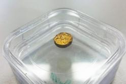 Ученые научились делать золото из пластика