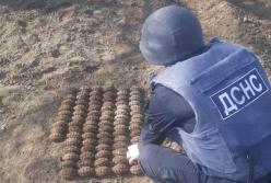 Житель Одесской области выкопал на огороде сотню гранат