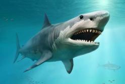 Ученые назвали самую большую рыбу в истории Земли