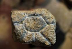 Найдены резные фигурки Ледникового периода, которым 26 тысяч лет