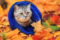 У Києві з 3 жовтня розпочнеться опалювальний сезон