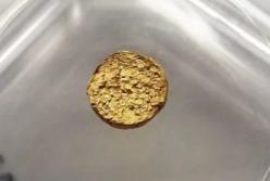 В Швейцарии создали золото со свойствами пластика (видео)