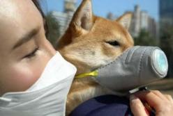 В Украину запретили ввозить животных из Китая