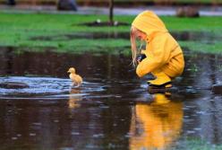 Прогноз погоды на 8 июня: Украина будет в плену ливней и гроз