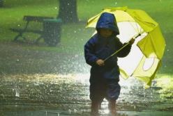 Прогноз погоды на 1 сентября: осень встретит прохладой и дождями с грозами