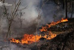У Чорнобильській зоні розростається масштабна лісова пожежа, мінна небезпека ускладнює гасіння (фото, відео)