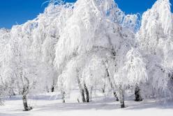 Какой будет зима 2020: приметы и суеверия 