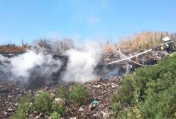Под Киевом загорелась мусорная свалка (видео)