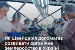 З Рівненщини на ринки Європи: як органічне ягідне підприємство розвиває громади за підтримки Швейцарії