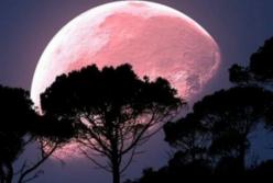 В среду украинцы смогут наблюдать розовую Луну
