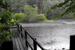 Погода на выходные: в Украине будет тепло и дожди