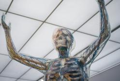 Водоросли в организме: ученые нашли новый способ подачи кислорода к органам