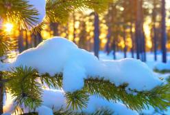 Синоптики дали аномальный прогноз погоды в Украине 