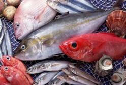 Ученые установили, какой вид рыбы помогает вылечить рак