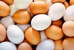 Ученые рассказали, сколько яиц можно употреблять в день
