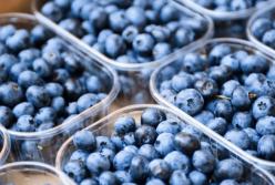 Медики назвали неизвестные полезные свойства черники