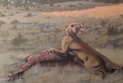 Ученые воссоздали облик саблезубого кота, жившего 9 млн лет назад 