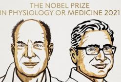 Названы лауреаты Нобелевской премии по медицине