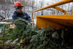 В Киеве с 1 января елки можно будет сдать на утилизацию