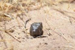 Ученые выяснили происхождение найденного в Ботсване метеорита 