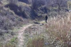 На песчаном карьере в Одесской области нашли тело застреленного мужчины (фото)