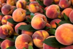 Много противопоказаний: врачи рассказали, кому нельзя есть персики
