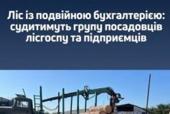 На Житомирщині судитимуть посадовців лісгоспу за незаконний продаж деревини на 1,3 млн грн
