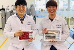 Ученые нашли способ предупреждать о просроченных продуктах