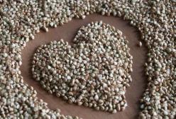 Ученые объяснили, как насытить организм «белком долголетия»