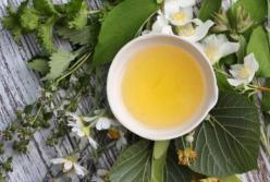 Этот травяной напиток поможет уберечься от гриппа