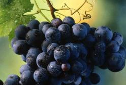 Медики подсказали, как укрепить сердечно-сосудистую систему