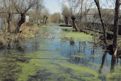 Украинцы потеряют земли и дома: названы последствия изменения климата