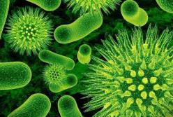 Обнаружен новый тип вируса, не поддающийся лечению