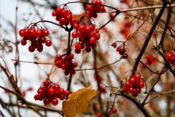 Прогноз погоды на 19 декабря: тепло и солнечно