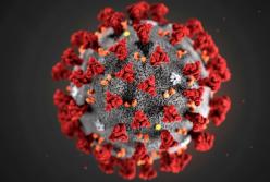 В Украине за сутки от коронавируса выздоровело рекордное количество людей