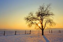 В Украине ожидается резкое потепление