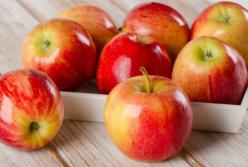 Медики рассказали, почему не следует есть слишком много яблок