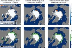 Искусственный интеллект предсказал потерю льда в Арктике