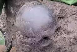 В польском городе нашли останки «ведьм», сожженных в XVII веке