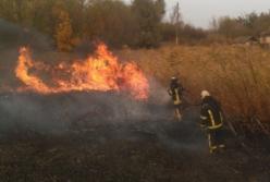 Пожары в Луганской области: полиция назвала число жертв и пропавших без вести