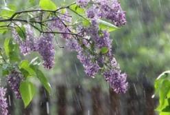 Прогноз погоды на 14 мая: часть Украины снова накроют дожди