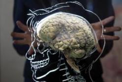 Найден способ омоложения старого мозга