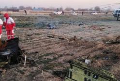 Место падения самолета МАУ сняли с высоты (видео)